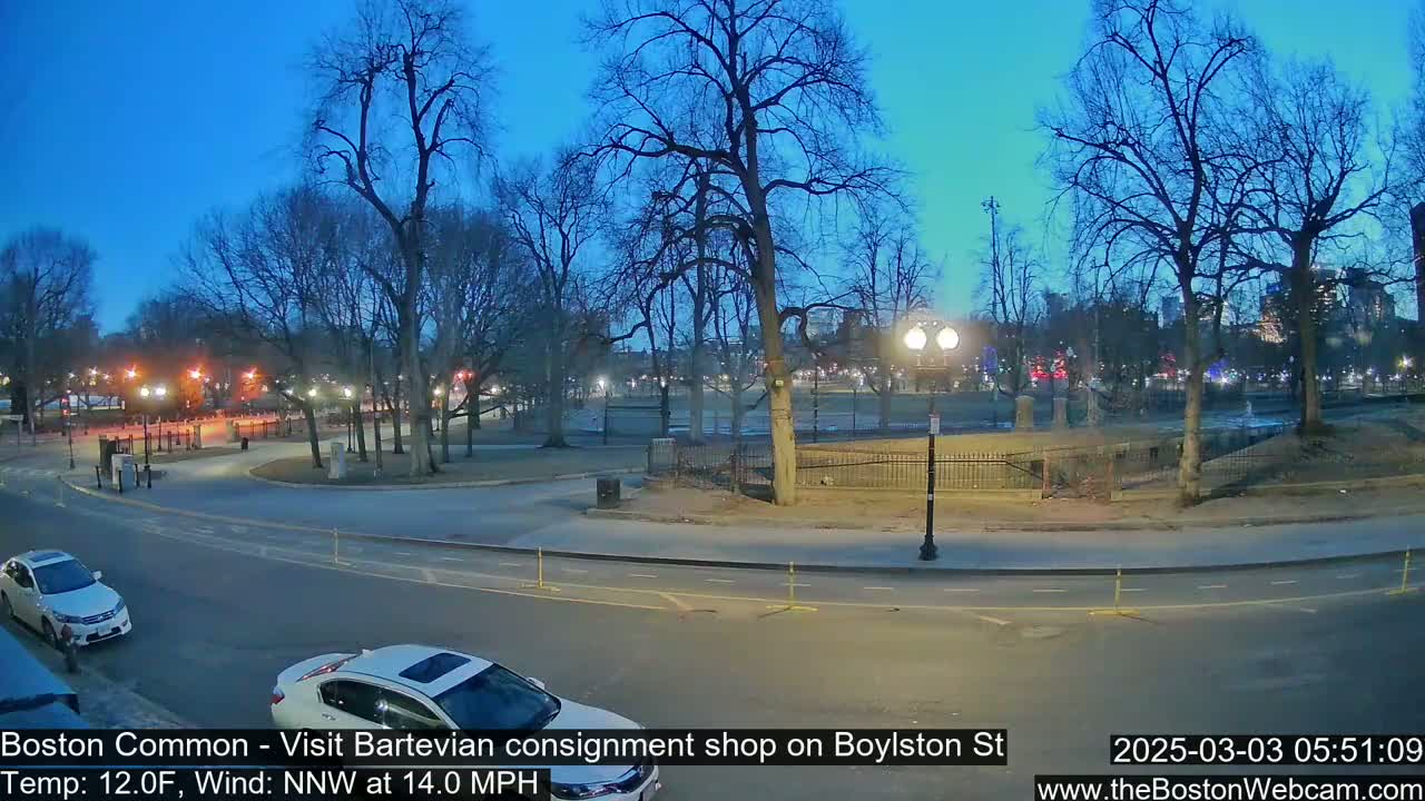 A twilight view of a park with bare trees and a street, under a clear, dark blue sky.
