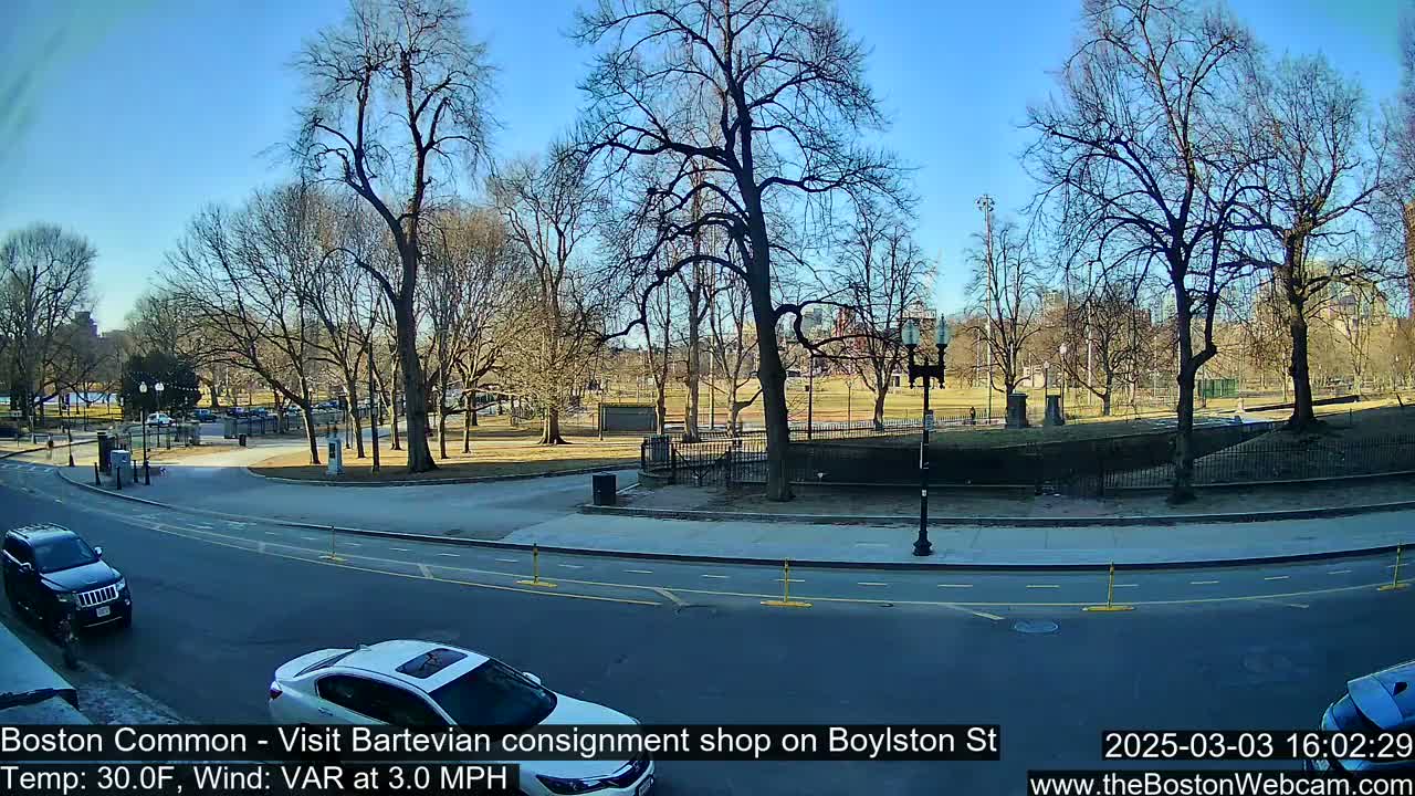 A sunny, clear day in a park with bare trees, where a road curves through the foreground with cars driving on it.
