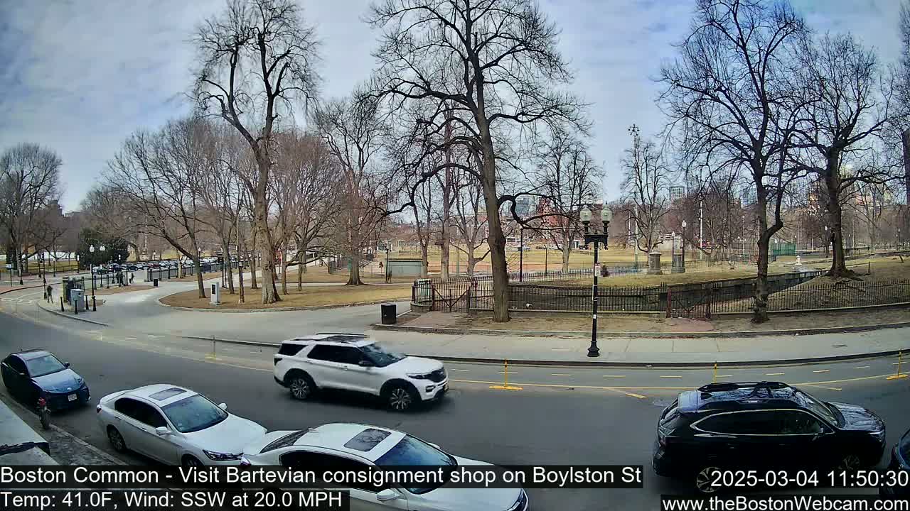A partly cloudy day reveals a city park with bare trees, a roadway with several cars, and a paved path curving through the scene.