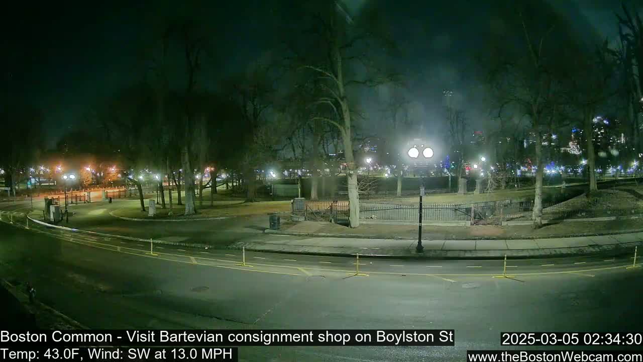 A nighttime view of a park with barren trees, a roadway, and city lights in the distance, under windy conditions.