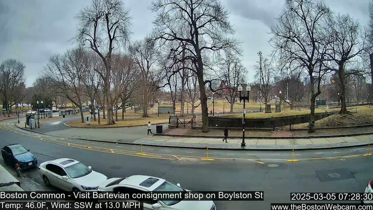 A street scene shows a park with bare trees under an overcast sky, and a few people walking near a roadway with several parked cars.
