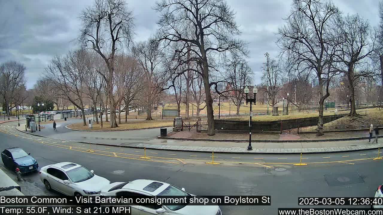 A street scene shows a park with bare trees under a cloudy sky, cars parked and driving on a road, and pedestrians walking.