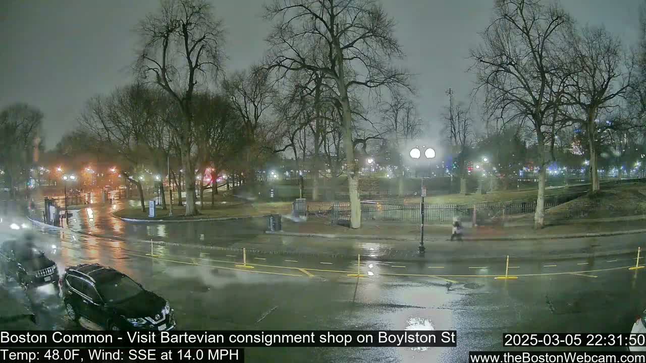 A rain-slicked street scene at night shows a park with bare trees, streetlights, and a few vehicles on the road.