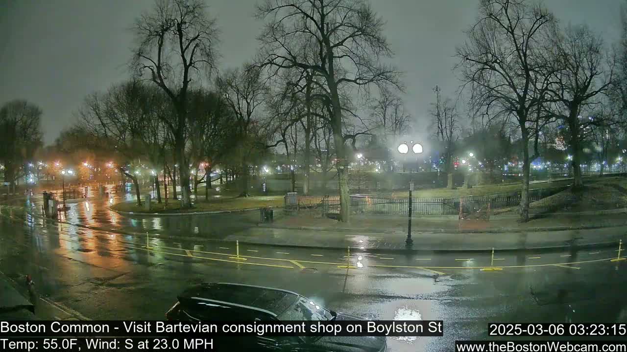 A rain-slicked street at night, bordered by bare trees and illuminated by streetlights, overlooks a park.