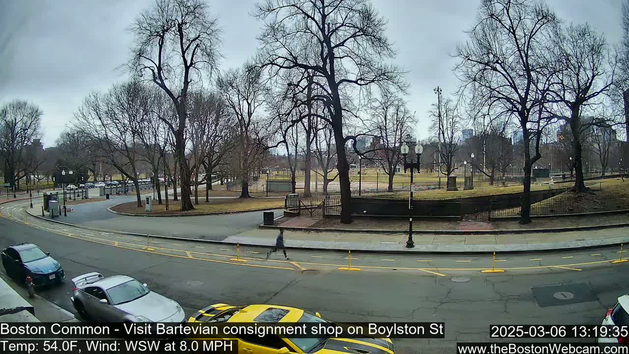 A person jogs along a city street bordering a park with bare trees under a cloudy sky.