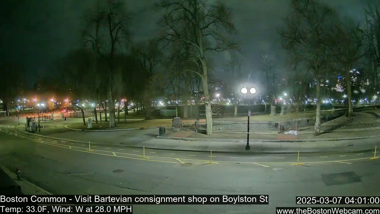 A nighttime view of a park with bare trees, streetlights, and a roadway, under windy conditions.