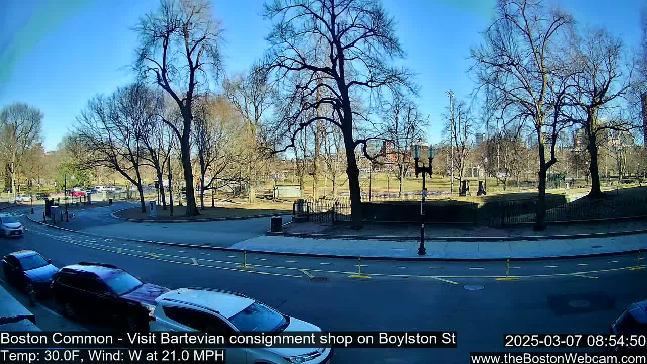 A sunny, windy day in a park with bare trees, showing a street with cars driving past.