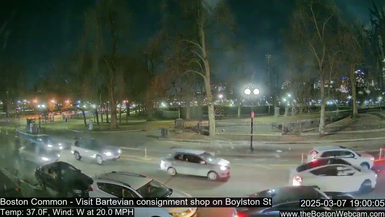 A nighttime, windy scene shows several cars driving on a road that curves around a park with bare trees and city lights in the background.