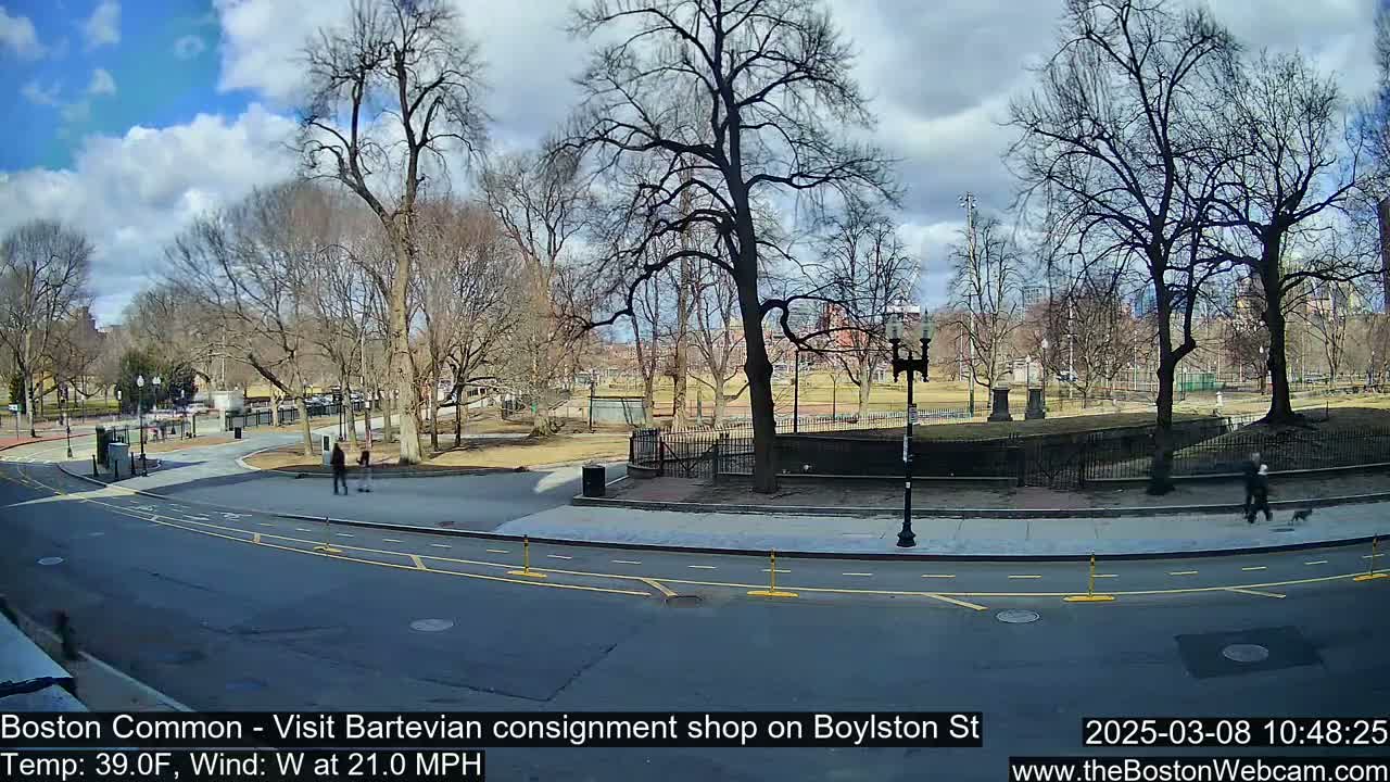 A partly cloudy day shows a paved pathway and road curving through a park with bare trees, and a few pedestrians and a dog walker are visible.