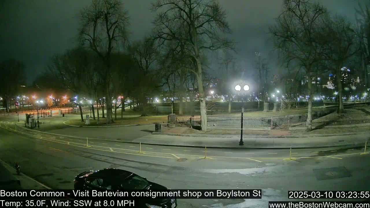 A nighttime view of a park and roadway, with bare trees and city lights in the background, under a dark, possibly cloudy sky.