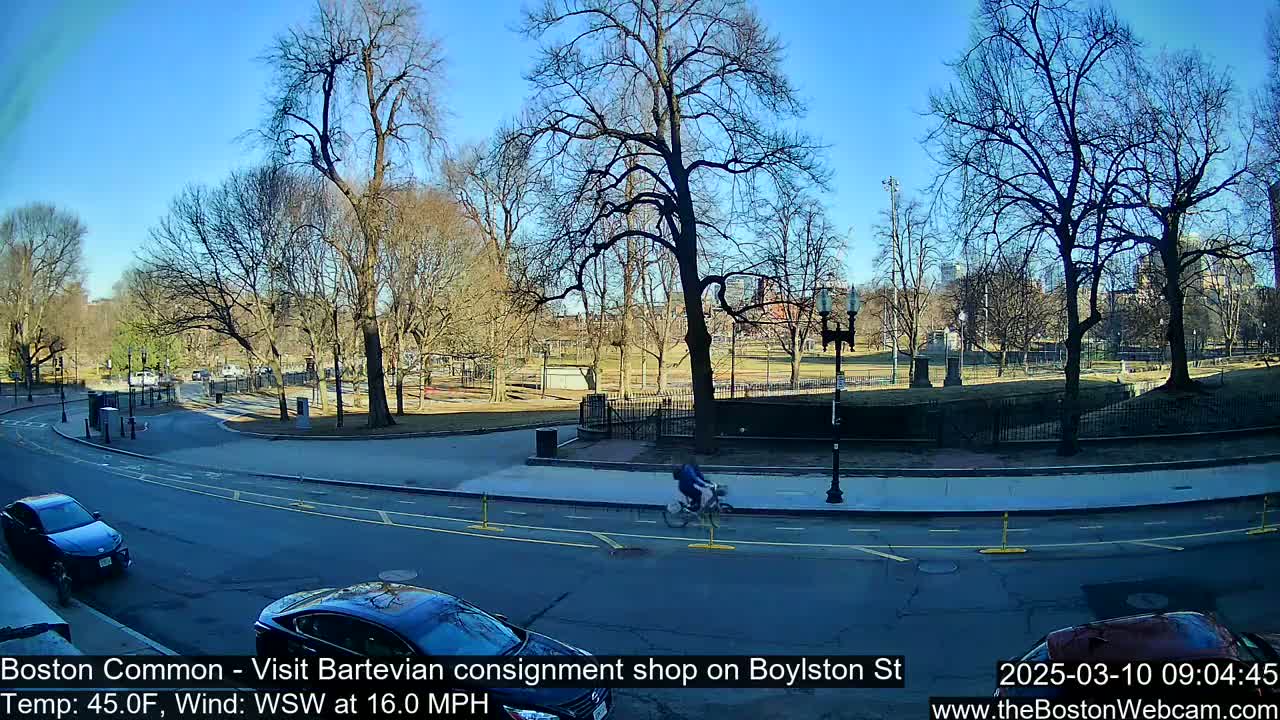 A sunny, windy day in a park-like setting with bare trees, a cyclist on a bike path, and cars on a road.