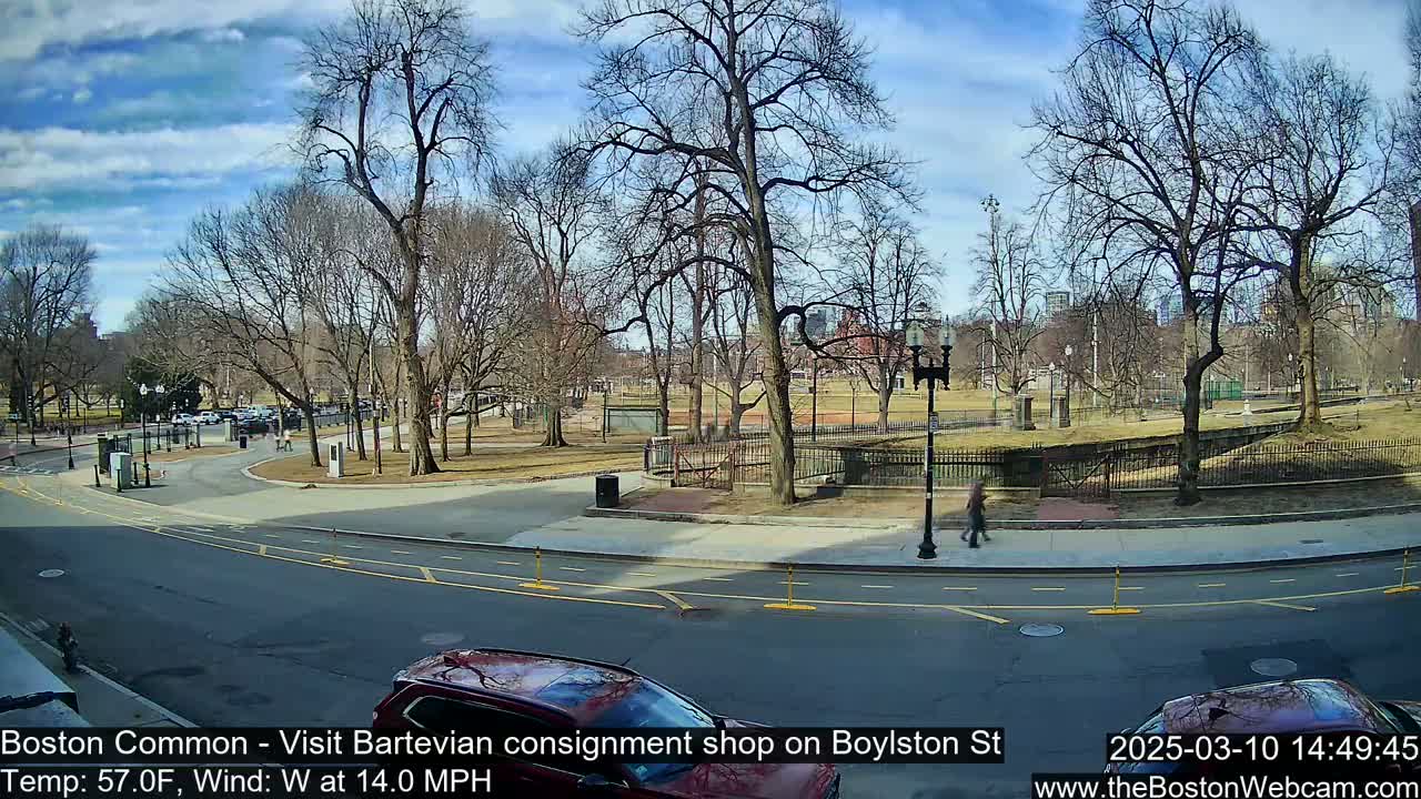 A partly sunny day shows a street scene with bare trees and a park in the background, along with cars and pedestrians.