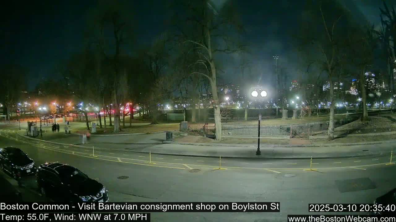 A nighttime view of a park, with cars parked along a road, people walking on a path, and city lights in the distance under a clear sky.
