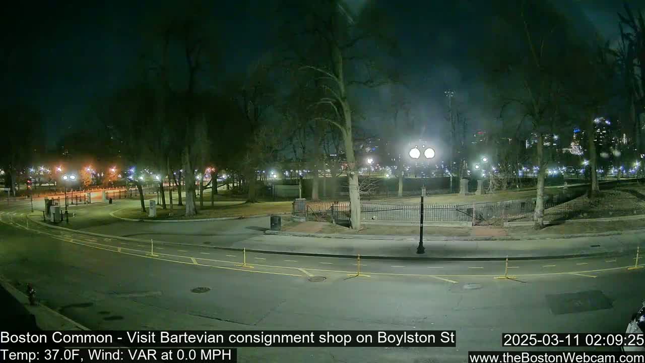 A nighttime view of a park with trees and lights, a roadway, and a city skyline in the distance, under calm, cool conditions.