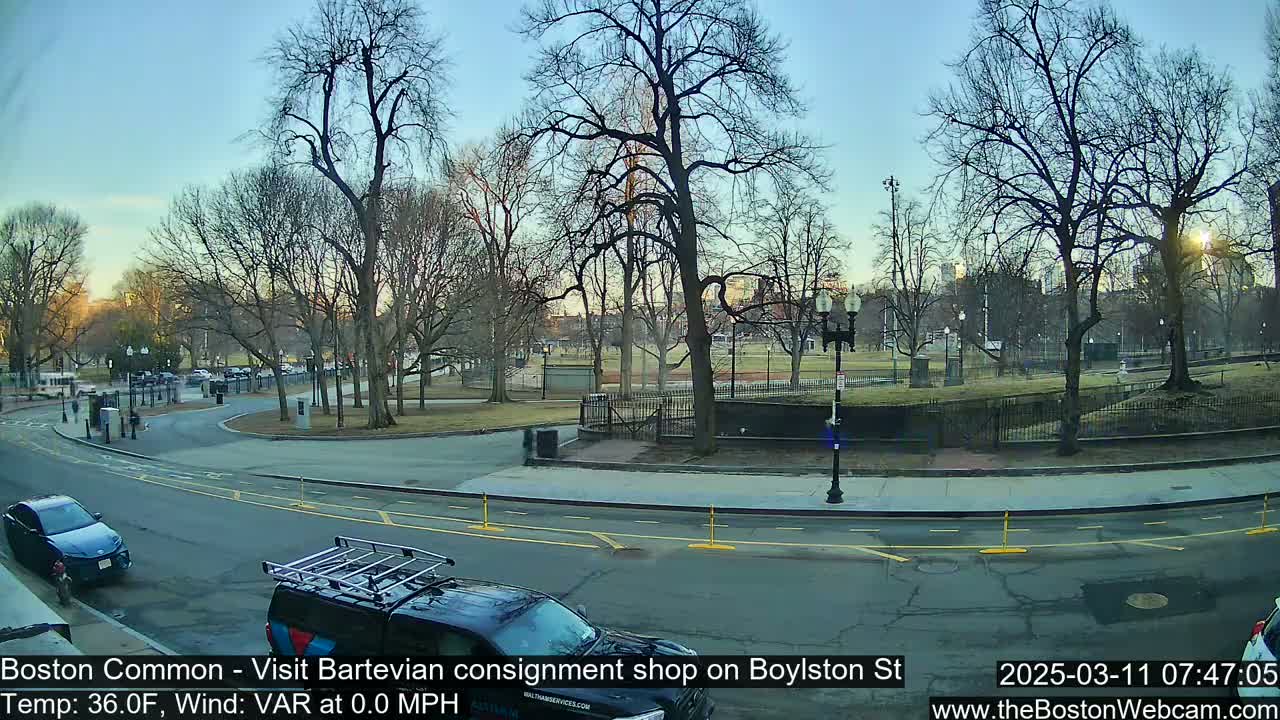 A clear, cool morning scene shows a city park with bare trees, a roadway with several vehicles, and buildings in the background.