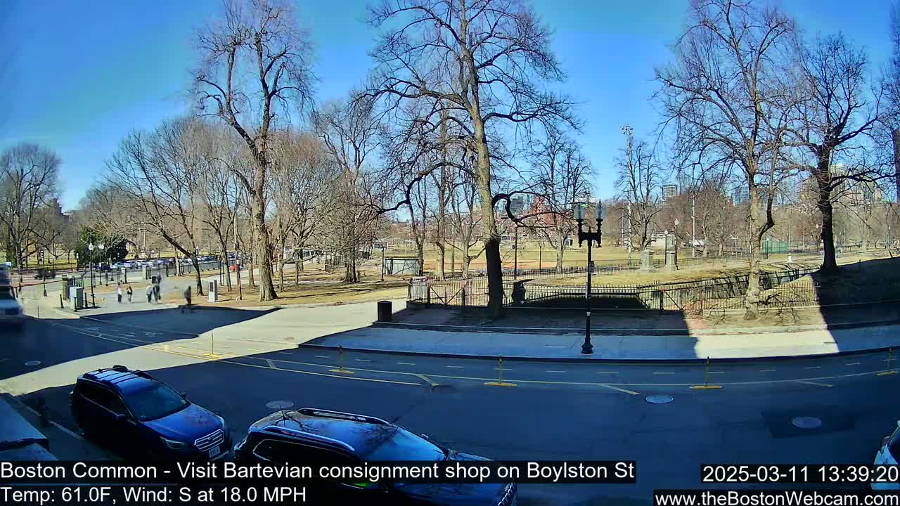 A sunny day in a park with bare trees, cars parked along a street, and a few people walking.