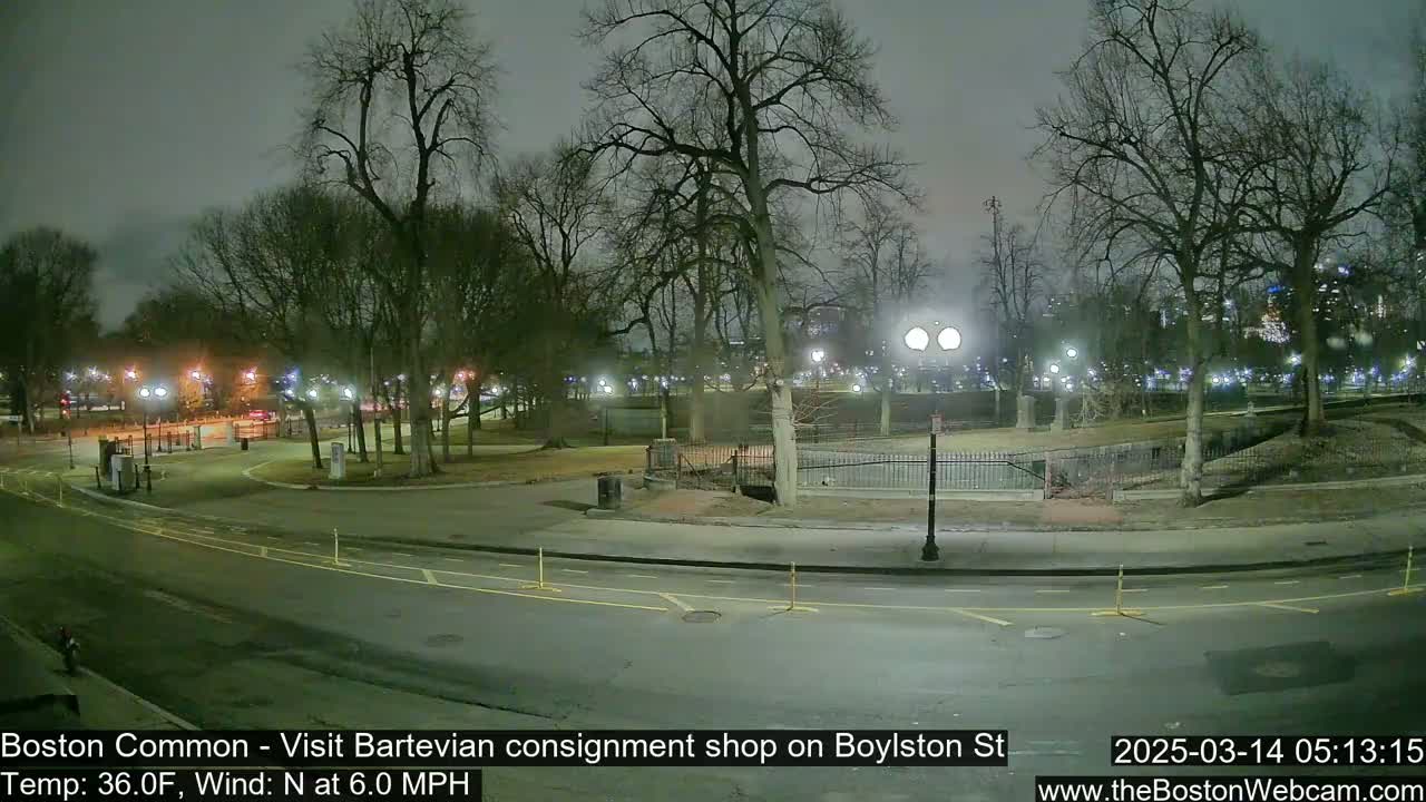 A nighttime view of a park with bare trees, streetlights, and a curved road under a cloudy sky.