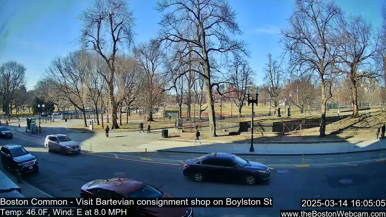 A sunny day in a park with bare trees, several cars on a street, and a few pedestrians.