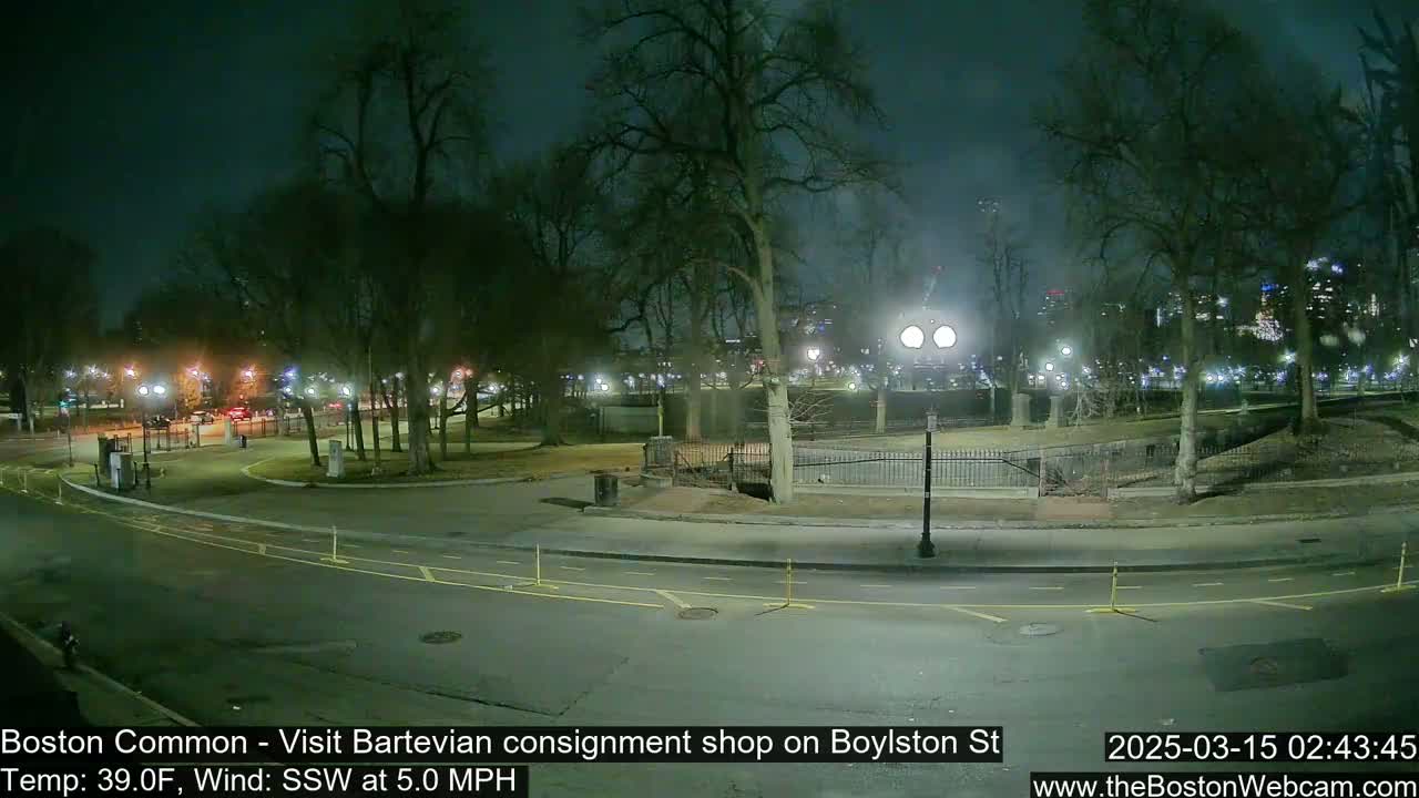 A nighttime view of a park with trees, lights, and a paved road, under a dark, clear sky with a 5.0 mph south-southwest wind.