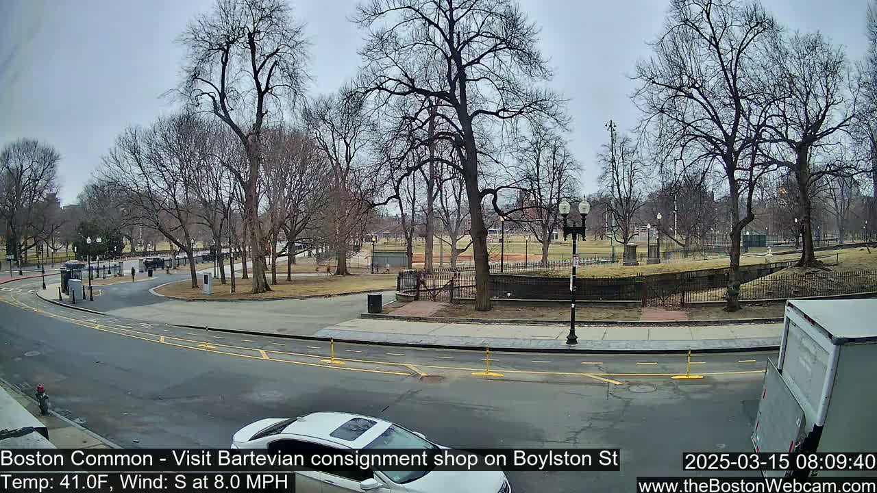 A city street scene on an overcast day shows a park with bare trees, a road curving around it, and a few vehicles.