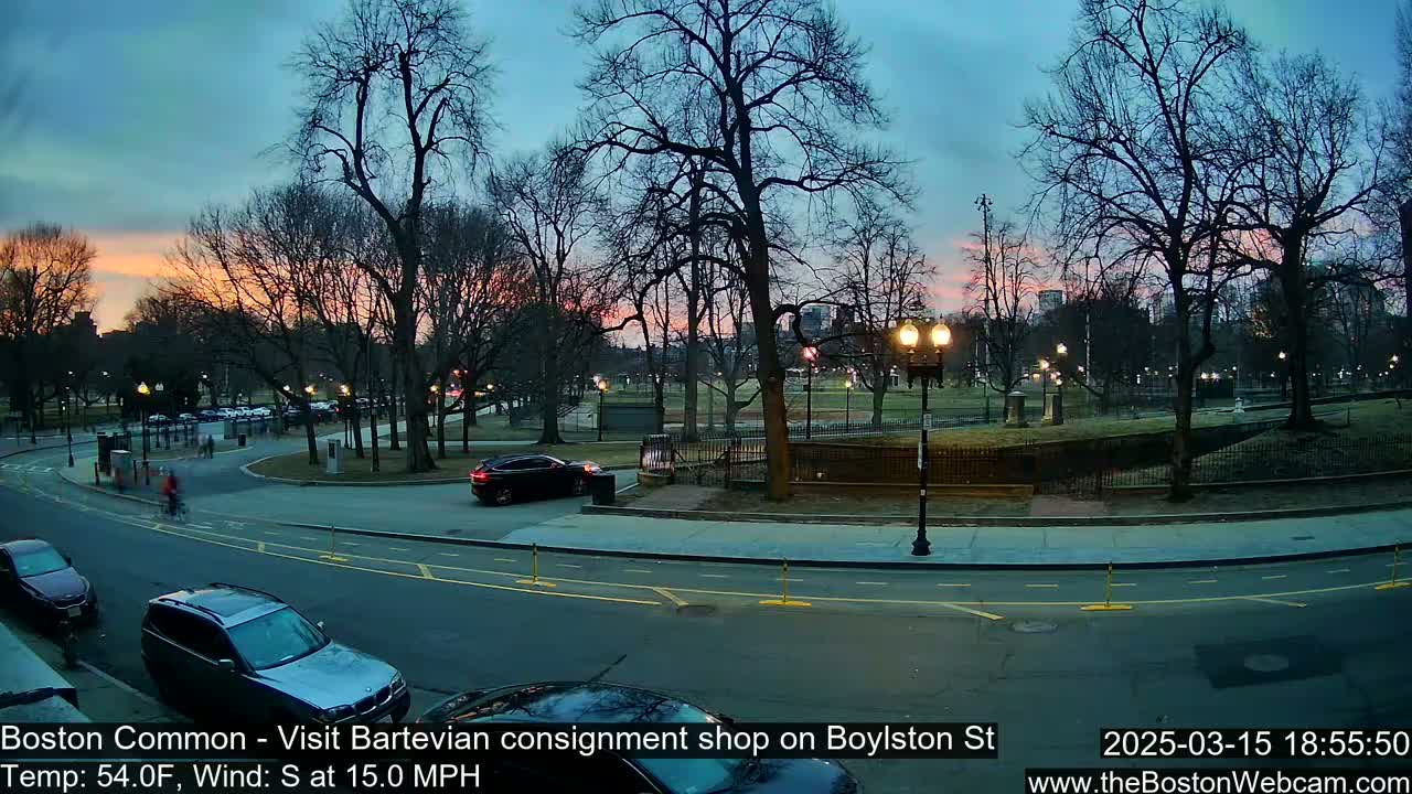 A twilight scene shows a park with bare trees, cars on a road, and a cyclist, under a partly cloudy sky.