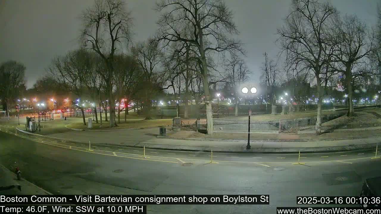 A nighttime view of a park, with bare trees and streetlights illuminating a mostly empty roadway.