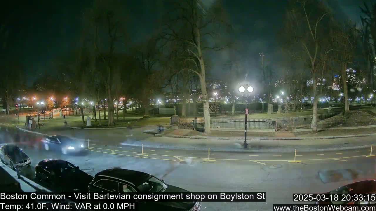 A nighttime view of a park with cars driving on a road next to it, under clear skies.