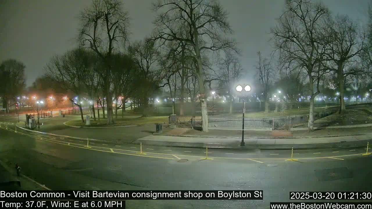 A nighttime view of a park with bare trees and a roadway, under overcast skies with a gentle east wind.
