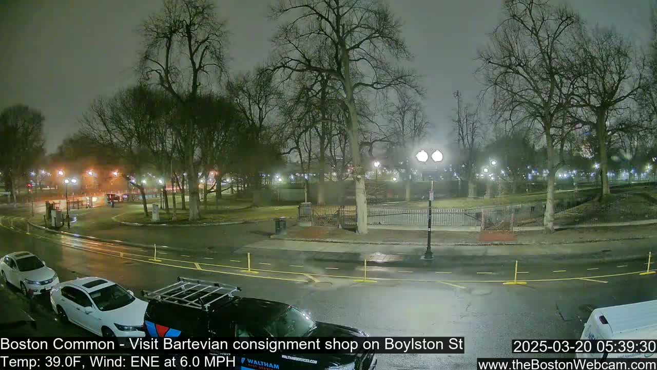 A wet, nighttime street scene shows a park with bare trees and several cars parked along the curb under dim streetlights.