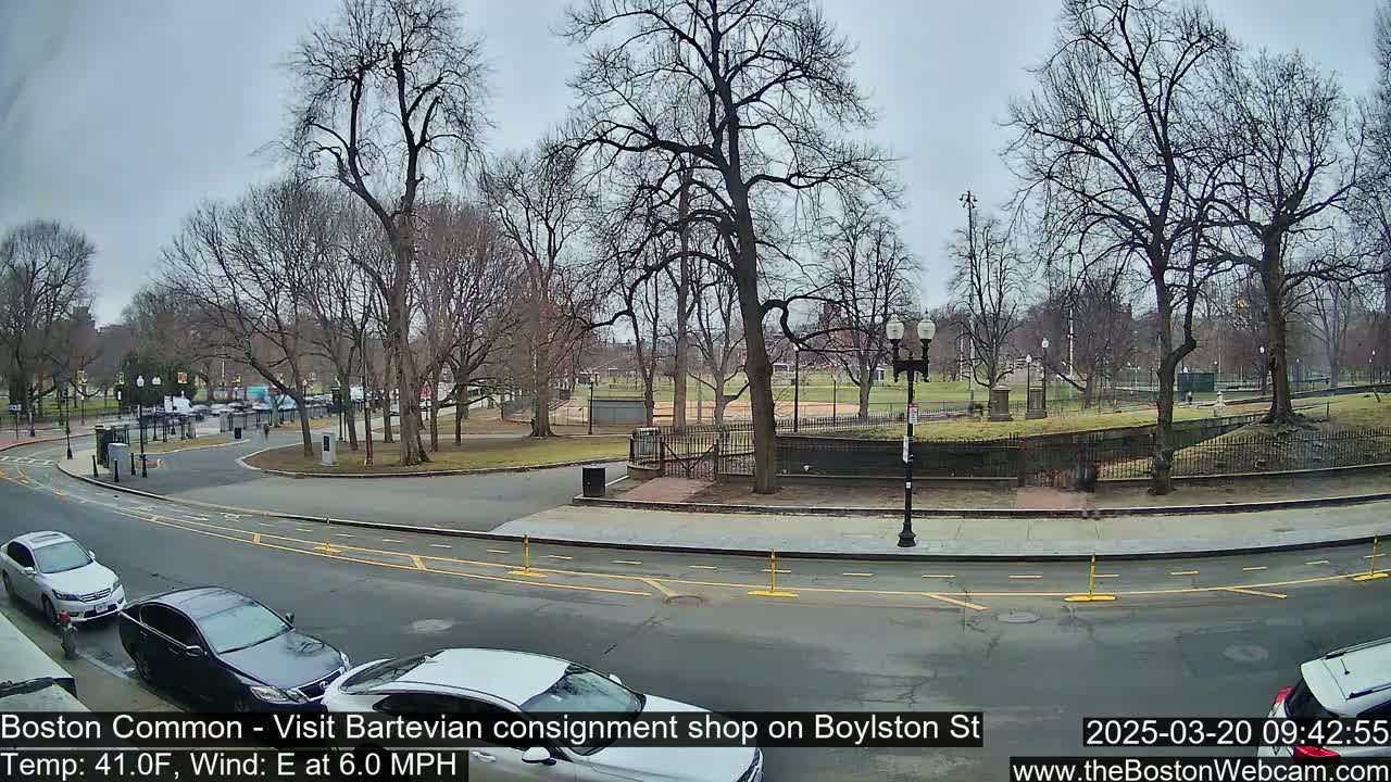 A city street scene on an overcast day shows bare trees surrounding a park-like area with cars parked along the curb.
