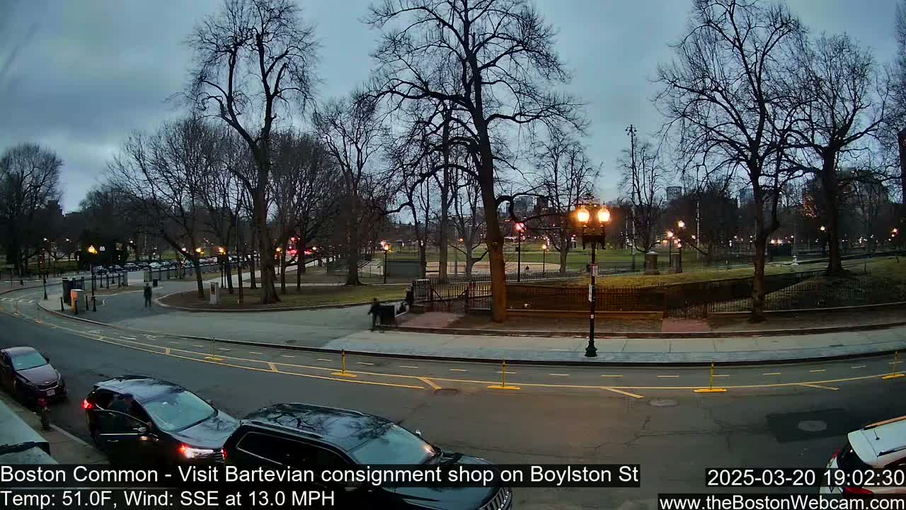 A street scene shows cars parked and driving near a park under a cloudy, dusky sky.