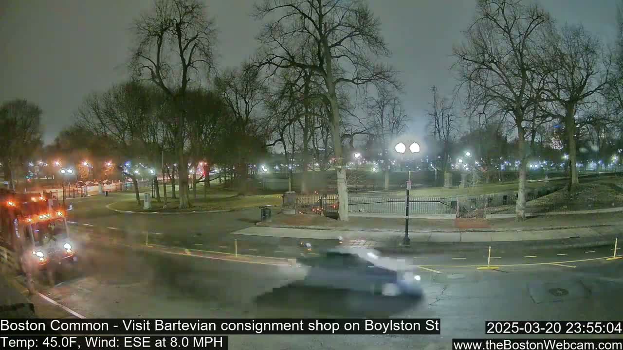 A nighttime view of a park with bare trees and streetlights, showing a street with some vehicles, under a cloudy sky.