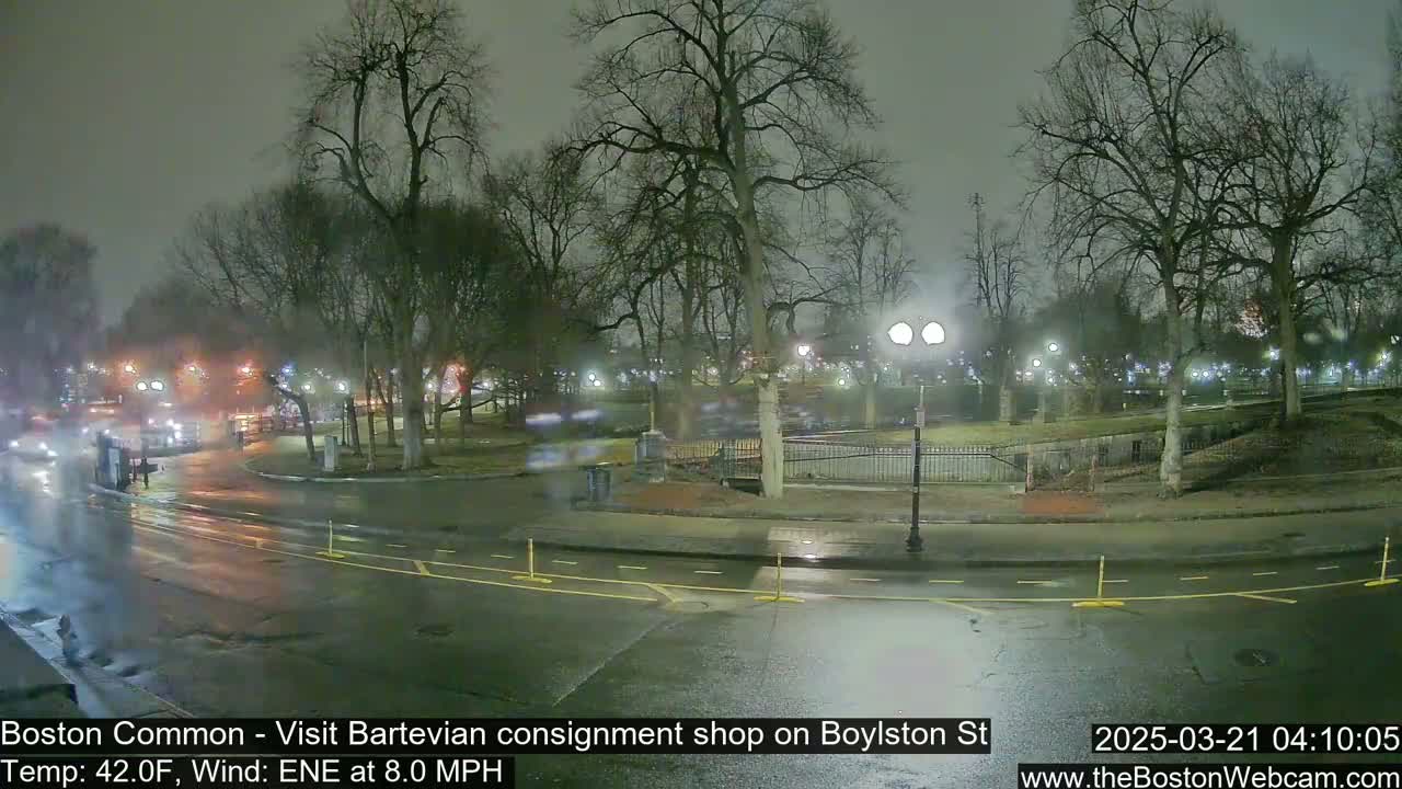 A wet, nighttime scene shows a park with bare trees and streetlights illuminating a roadway with some traffic.