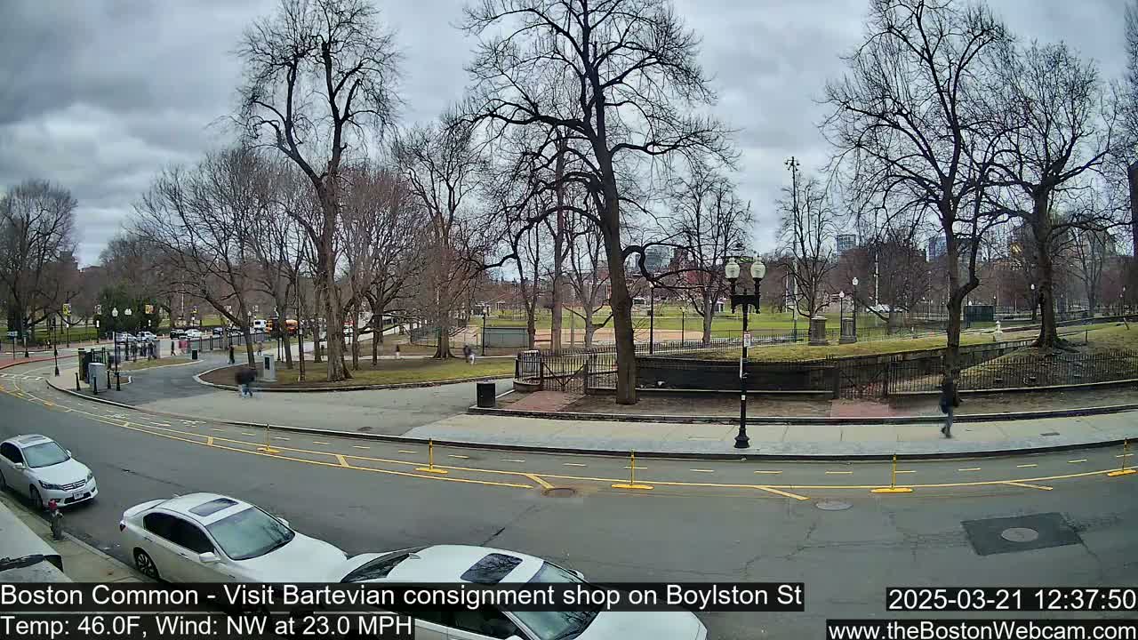 A mostly cloudy day shows bare trees surrounding a park with cars parked along a road.
