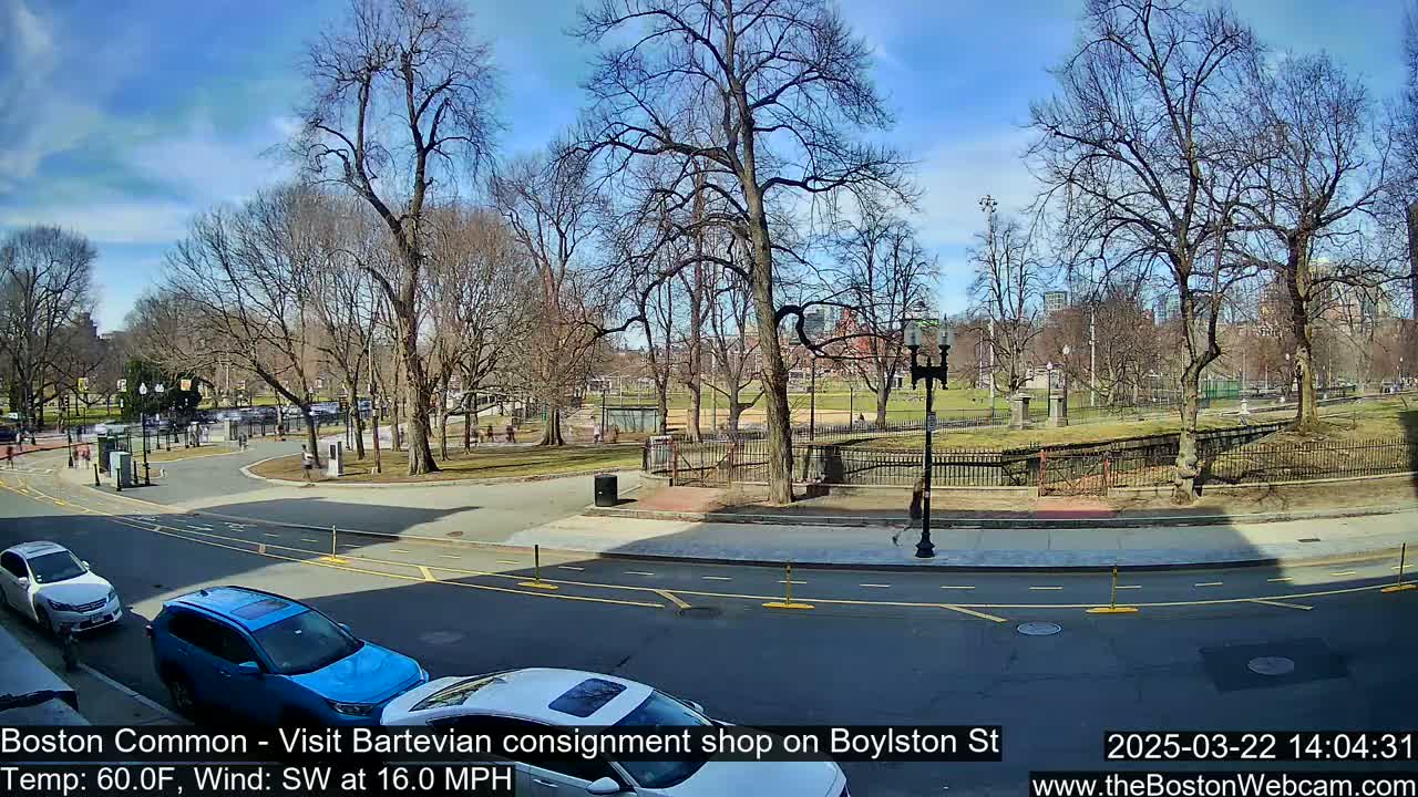 A sunny day with a southwest wind shows a street scene overlooking a park with bare trees and several cars parked along the curb.
