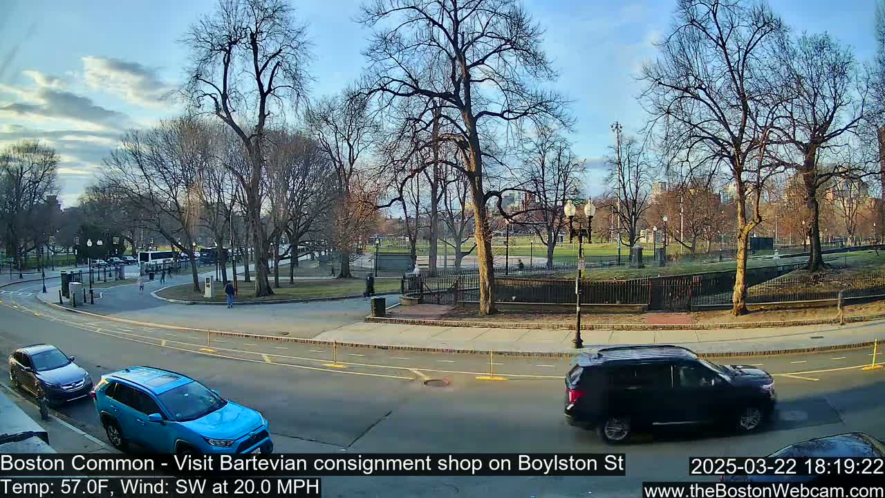 A sunny, windy day in a park with bare trees, showing cars parked along a street next to a paved path bordering a grassy area.