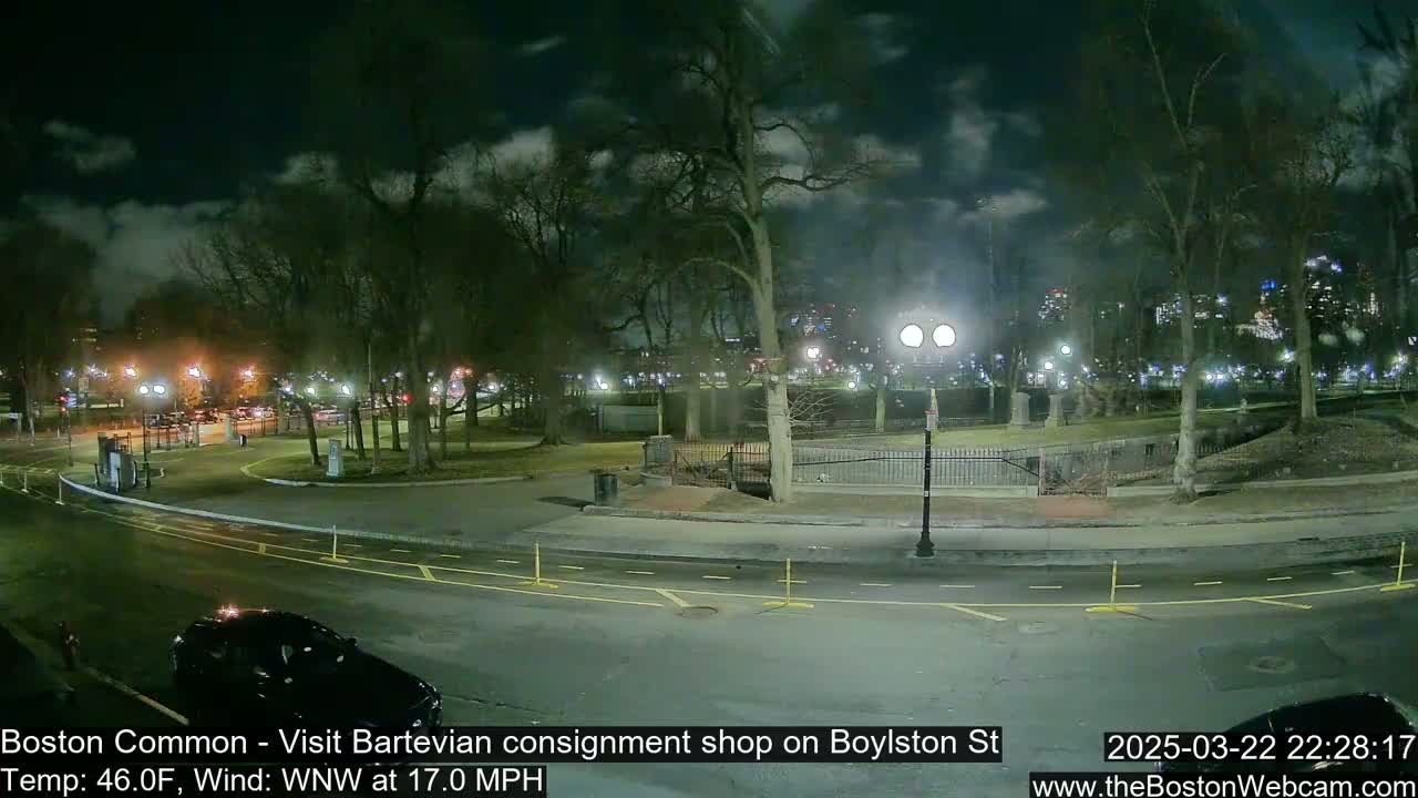 A nighttime view of a park, illuminated by streetlights, with a road and a car visible in the foreground under a partly cloudy sky.