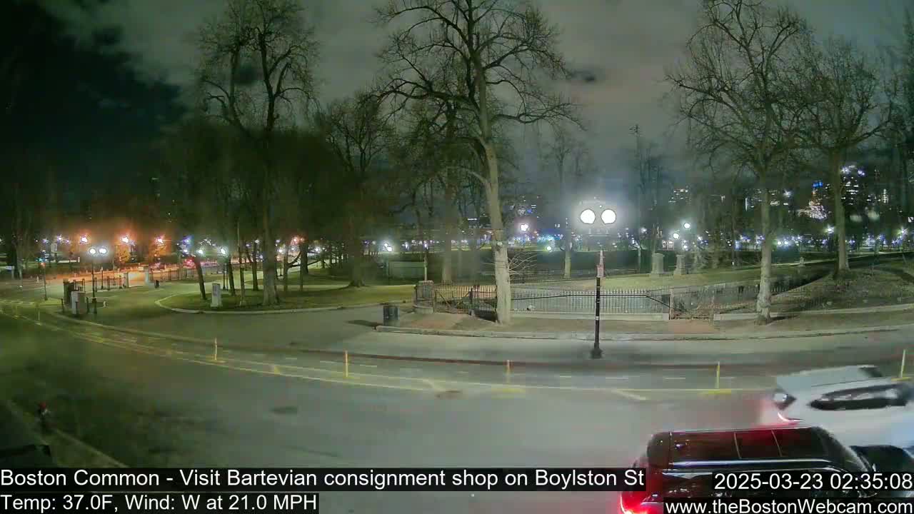 A nighttime view of a park with bare trees, illuminated by streetlights, shows a roadway curving through the scene, with a few vehicles visible.