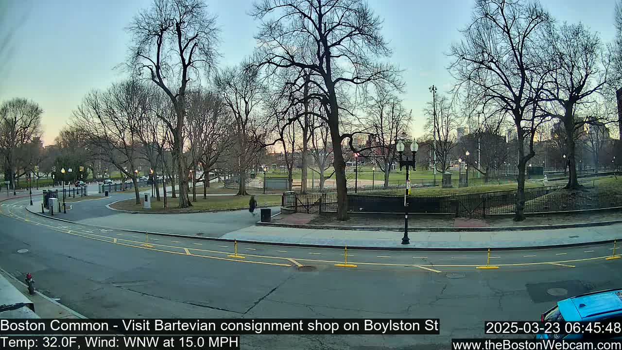 A mostly empty park with bare trees is visible from a street under a twilight sky, with a light wind blowing.