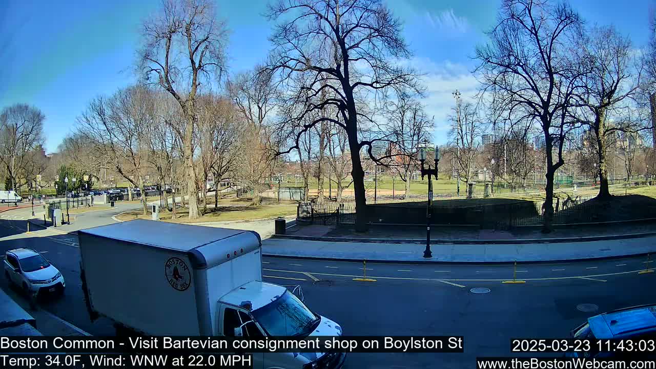 A sunny day with a WNW wind at 22 mph reveals a city park with bare trees, a roadway with vehicles, and buildings in the background.