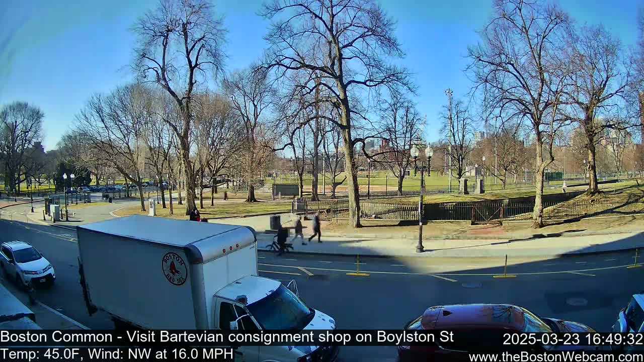 A sunny day shows a city park with bare trees, a street with cars and pedestrians, and a delivery truck.