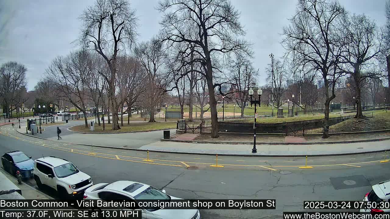 A mostly overcast day shows a park with bare trees and a roadway with parked cars and pedestrians.