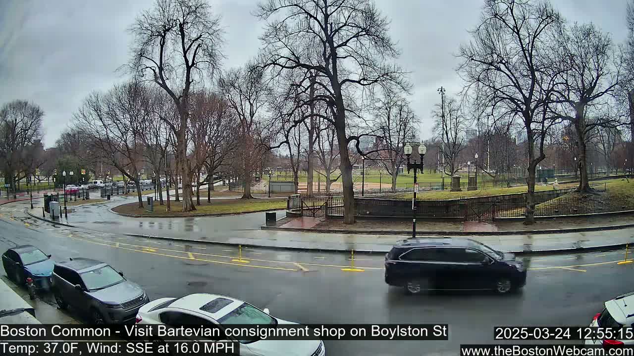 A wet, overcast day reveals a park with bare trees and several cars driving along a curving road.
