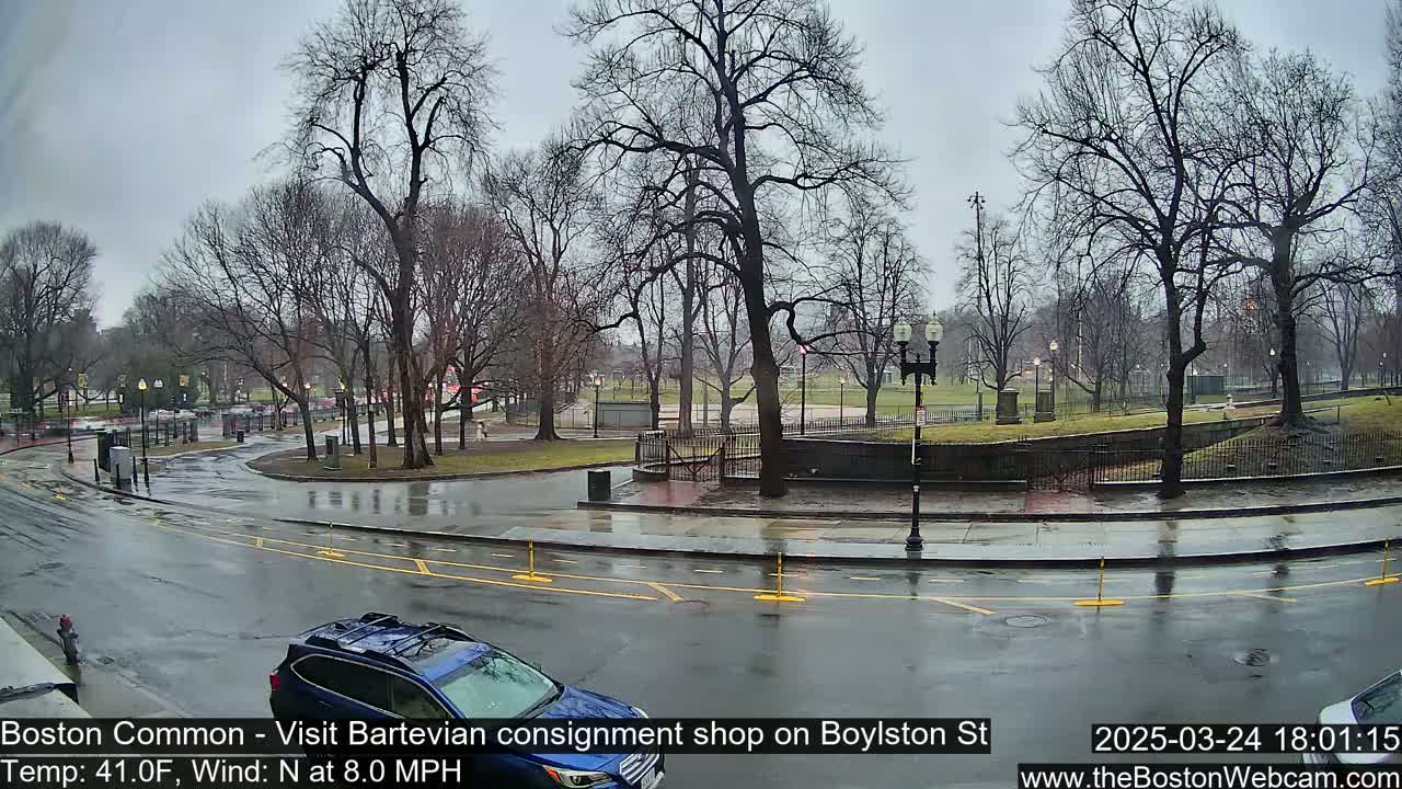A wet, overcast scene shows a park with bare trees and a curving road with a blue SUV parked near the curb; the road is wet from rain.