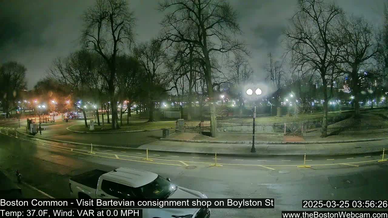 A nighttime view of a park with bare trees, streetlights, and a white truck parked on a wet road.