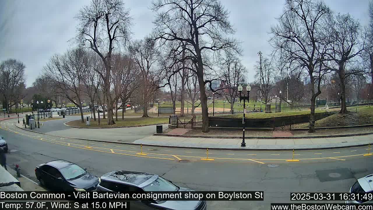 A mostly cloudy day reveals a park with bare trees, a road with parked cars, and a pedestrian walking.