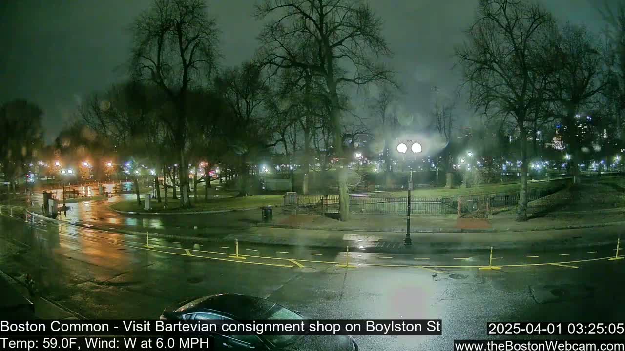 A rain-slicked street curves through a park at night, illuminated by streetlights and the faint glow of distant buildings.