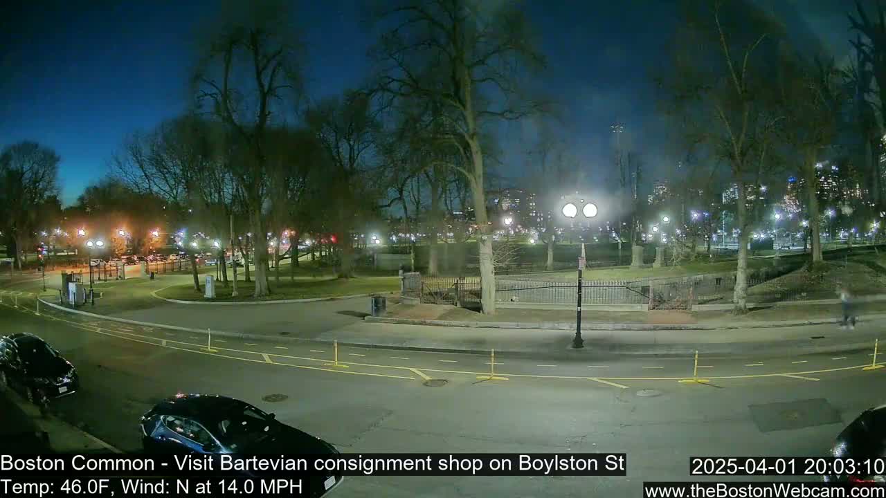 A nighttime view of a park with cars parked along a road, under a clear, cool sky.