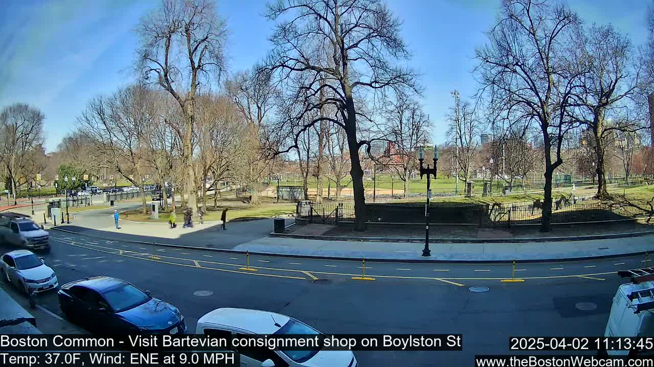 A sunny, windy day in a city park, with bare trees and a few pedestrians near a roadway.