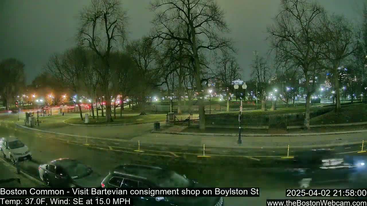 A nighttime view of a park with bare trees and cars driving on a road, under a dark, overcast sky.